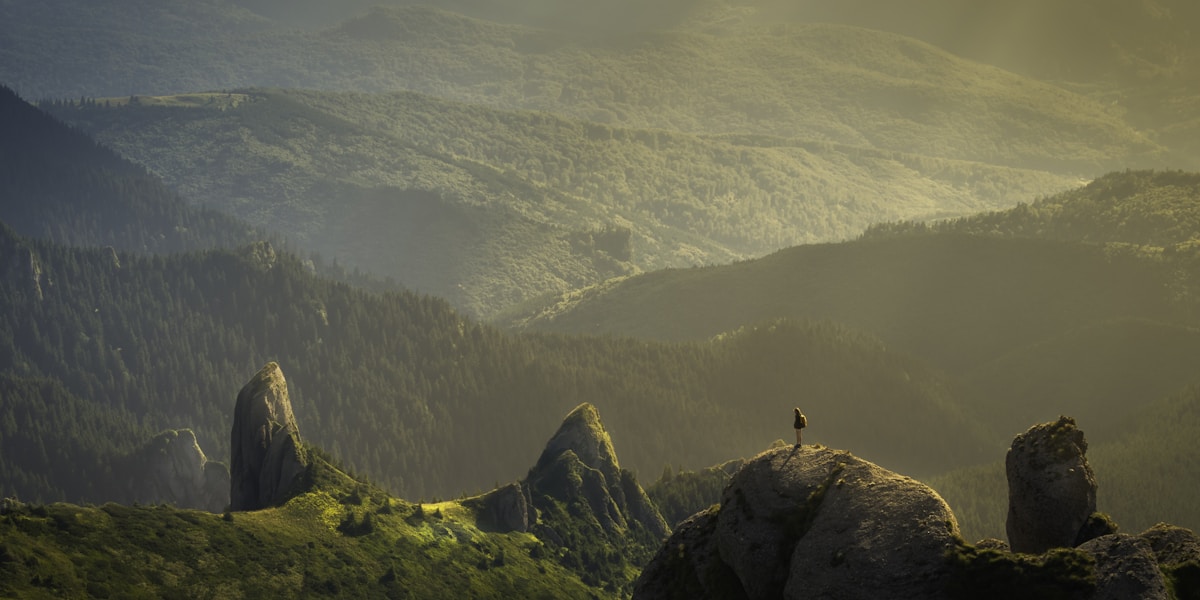 stress management guide