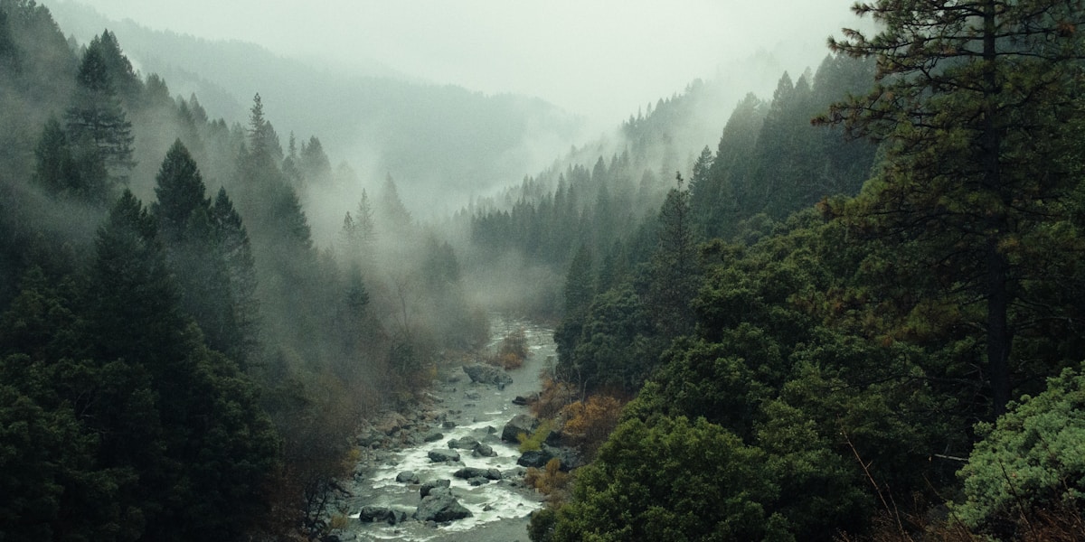 good bad dreams guide