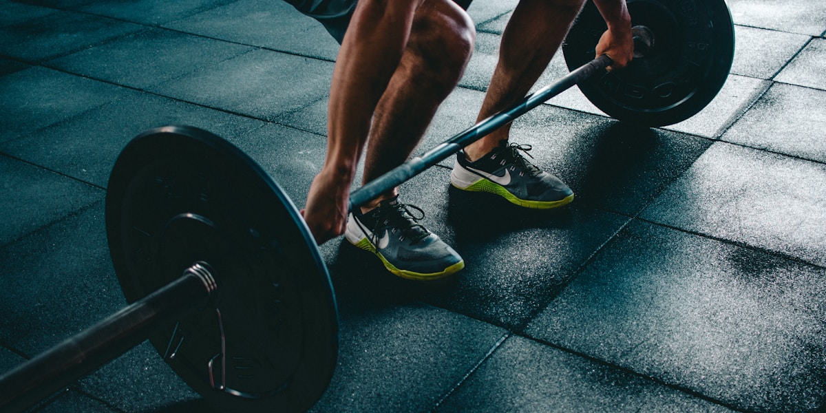 biorhythm 2025 practical guide