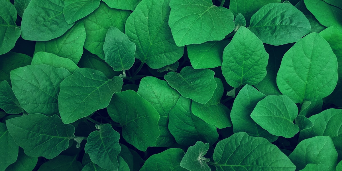 tarot questions how to ask right 2025