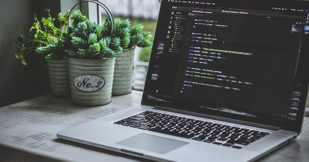 css guide 09 variables