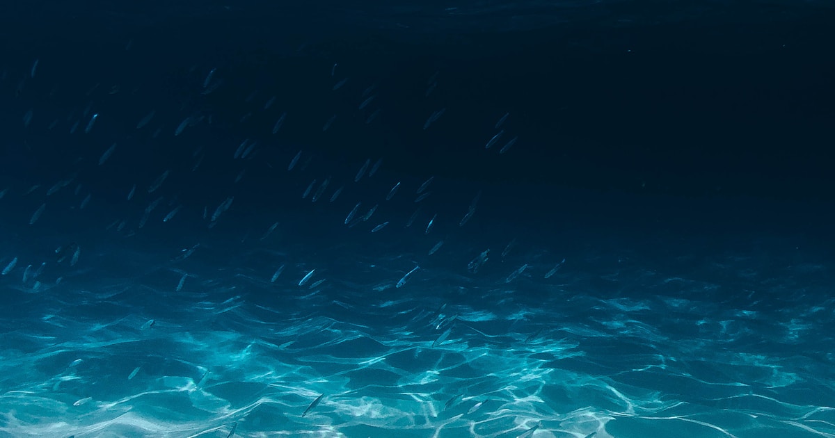 iho s102 bathymetric surface guide