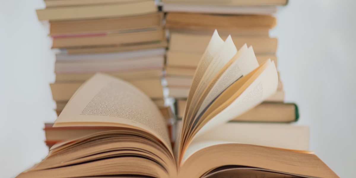 tarot beginner guide